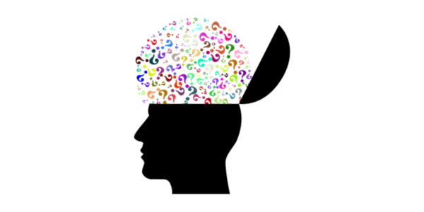 Brain